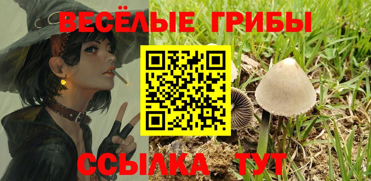 Галлюциногенные грибы прущие грибы Ростов Великий