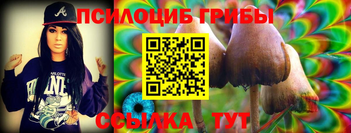 Псилоцибиновые грибы прущие грибы  Вход с VPN  что такое   Ростов Великий 